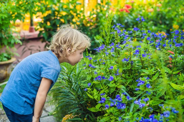 Çocuk Küçük Mavi Bir Çiçek Kokuyor — Stok fotoğraf