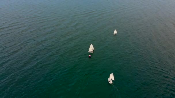 Aerial shot of a training sailboats in the sea — Stock Video