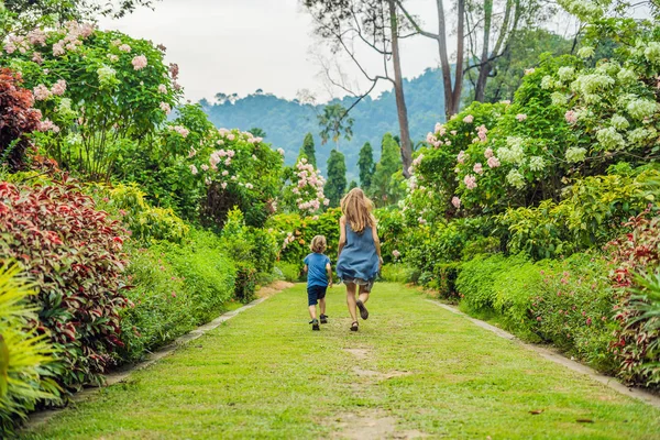 Anne ve oğlu çiçek açan bahçede koşturup. Mutlu aile yaşam tarzı kavramı.
