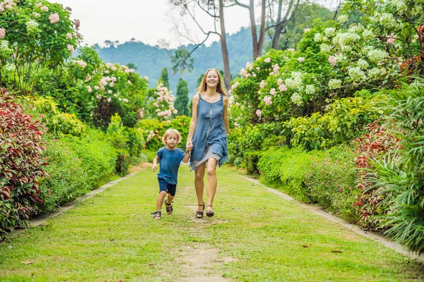 Anne ve oğlu çiçek açan bahçede koşturup. Mutlu aile yaşam tarzı kavramı.