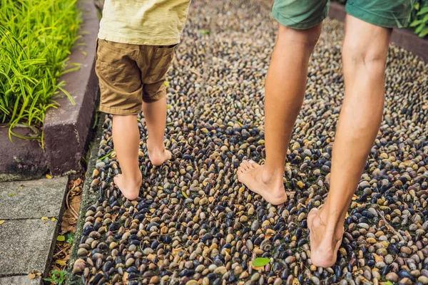 Padre Hijo Caminando Sobre Pavimento Adoquín Texturizado Reflexología Piedras Guijarro —  Fotos de Stock