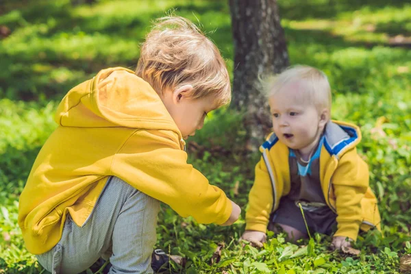 Twee Gelukkige Broers Gele Sweatshirts Het Najaar Park — Stockfoto