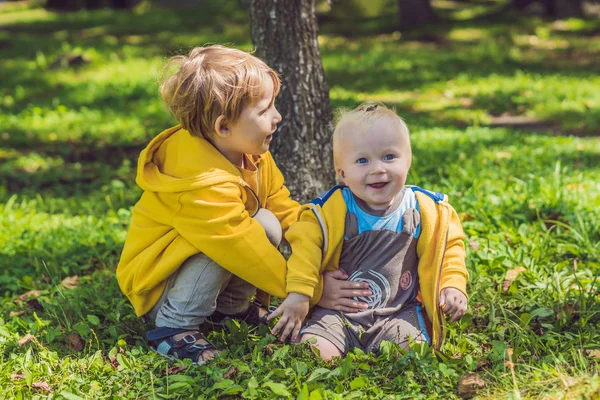 Twee Gelukkige Broers Gele Sweatshirts Het Najaar Park — Stockfoto
