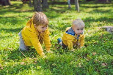 Sonbahar parkta sarı tişörtü iki mutlu kardeşler
