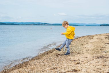 Taş denizde su plajdan gündüz atan genç çocuk