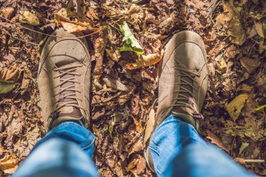 Sonbahar sezonu doğa arka planda yaşam tarzı moda trendy tarzı ile sonbahar yaprakları parkta yürürken ayak ayakkabı.