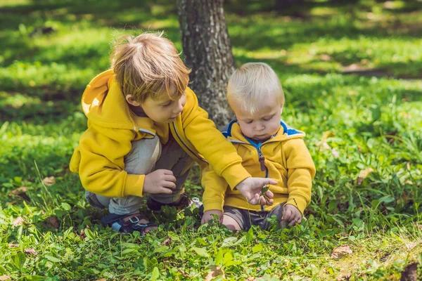 Dois Irmãos Felizes Camisolas Amarelas Parque Outono — Fotografia de Stock