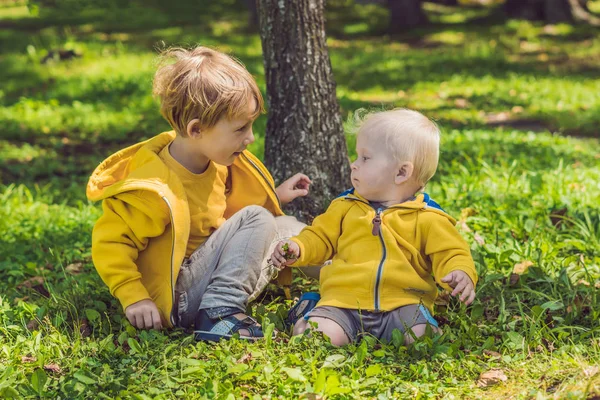 秋の公園で黄色のスウェットで二人の幸せな兄弟 — ストック写真