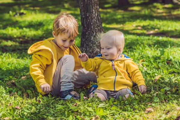 Двоє Щасливих Братів Жовтих Сорочках Осінньому Парку — стокове фото