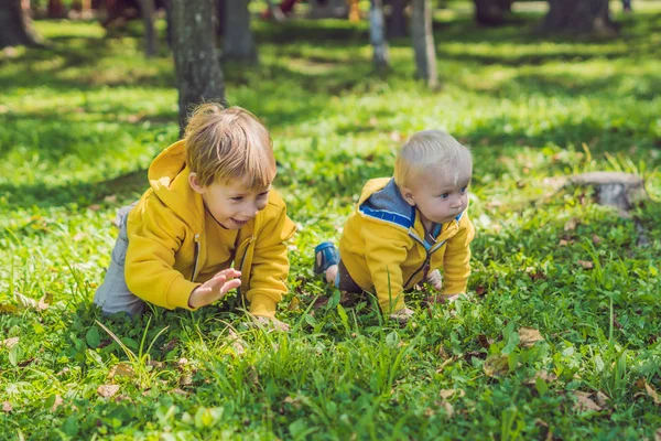 Two Happy Brothers Yellow Sweatshirts Autumn Park — Stock Photo, Image