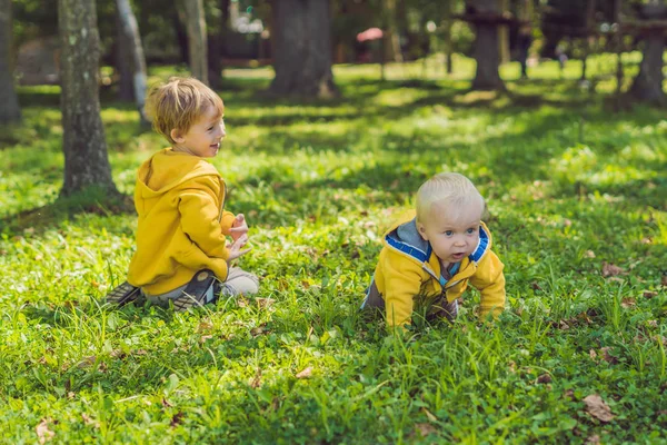 Sonbahar parkta sarı tişörtü iki mutlu kardeşler