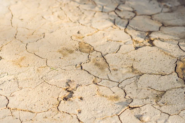 Latar Belakang Tanah Cokelat Kering Efek Pemanasan Global — Stok Foto