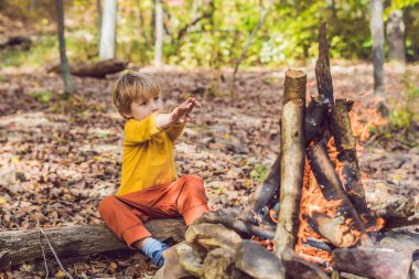 Çocuk oğlan kamp ateşi gündüz oturuyor