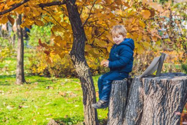 Sevimli küçük çocuk çocuk sonbahar günü zevk. Eğleniyor Bahçe veya park sıcak güneşli günde öğrenme tırmanmaya, okul öncesi çocuk renkli sonbahar elbise.