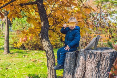 Sevimli küçük çocuk çocuk sonbahar günü zevk. Eğleniyor Bahçe veya park sıcak güneşli günde öğrenme tırmanmaya, okul öncesi çocuk renkli sonbahar elbise.