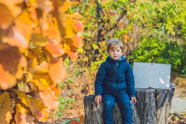 Sevimli küçük çocuk çocuk sonbahar günü zevk. Eğleniyor Bahçe veya park sıcak güneşli günde öğrenme tırmanmaya, okul öncesi çocuk renkli sonbahar elbise.
