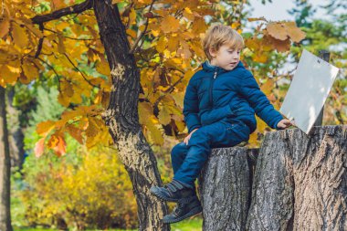 Sevimli küçük çocuk çocuk sonbahar günü zevk. Eğleniyor Bahçe veya park sıcak güneşli günde öğrenme tırmanmaya, okul öncesi çocuk renkli sonbahar elbise.