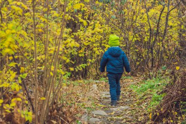 Sevimli küçük çocuk çocuk sonbahar günü zevk. Eğleniyor Bahçe veya park sıcak güneşli günde öğrenme tırmanmaya, okul öncesi çocuk renkli sonbahar elbise.