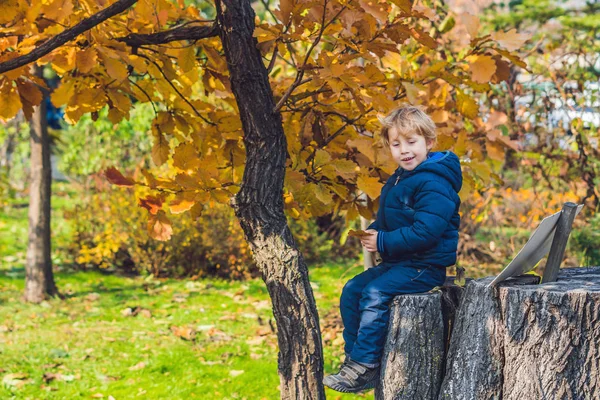 Cute Little Kid Boy Enjoying Autumn Day Preschool Child Colorful — Stock Photo, Image