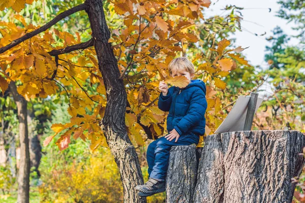 Niedlichen Kleinen Jungen Genießen Herbsttag Vorschulkind Bunten Herbstlichen Kleidern Lernt — Stockfoto