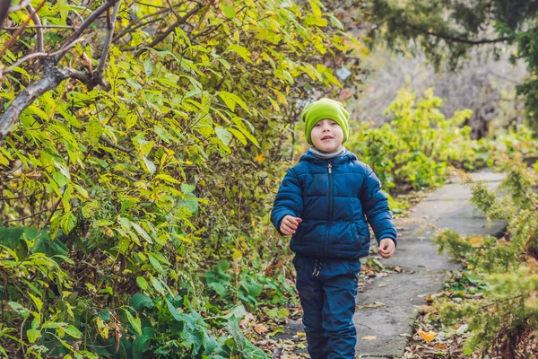 かわいい子供男の子秋の日を楽しんでいます 就学前児童カラフルな秋服に登る 学習暖かい晴れた日に庭や公園で楽しんで — ストック写真