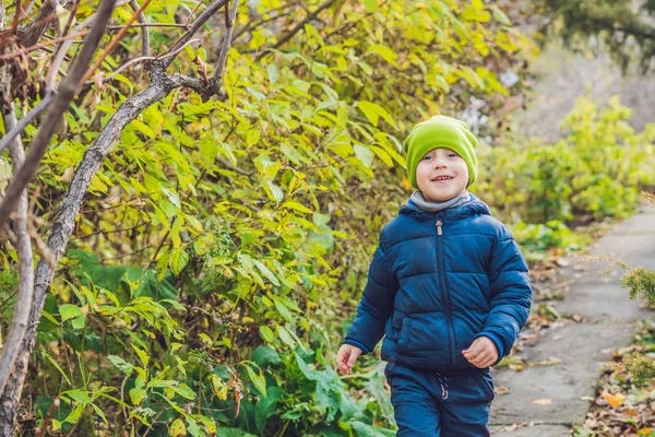 Niedlichen Kleinen Jungen Genießen Herbsttag Vorschulkind Bunten Herbstlichen Kleidern Lernt — Stockfoto