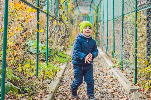 Cute Little Kid Boy Enjoying Autumn Day Preschool Child Colorful — Stock Photo, Image