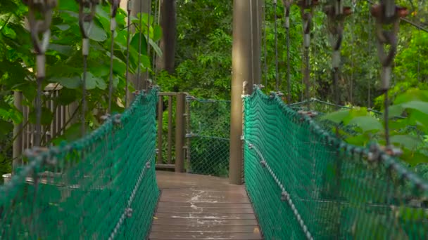 Steadicam shot of a hanging suspension bridge in the Eco Park in the Kuala Lumpur city — Stock Video