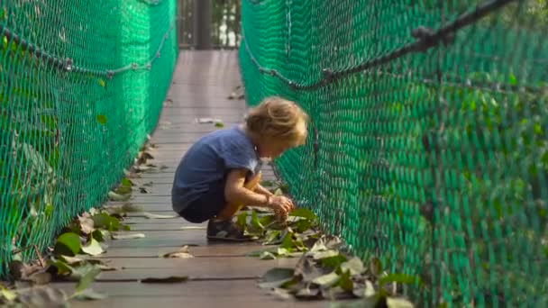 Steadicam-Aufnahme eines kleinen Jungen, der sich auf der Hängebrücke im Öko-Park der Stadt Kuala Lumpur amüsiert — Stockvideo