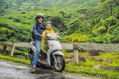 Baba ve oğul Malezya bir çay bir çiftlikte bir motosiklet üzerinde seyahat vardır. Çocuk kavramı ile seyahat.