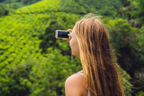 Güzellik çay plantasyon adlı genç kadın turist. Doğal seçili, taze çay çay çiftlik Cameron Highlands, Malezya bırakır. Eko-turizm kavramı.