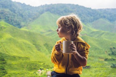 Çocuk içme sağlıklı yeşil çay çay plantasyon karşı. Sağlık veya bitkisel tıp kavramı.