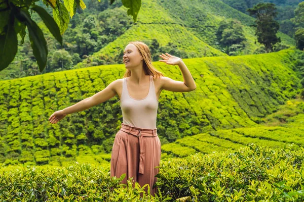 Schöne Junge Touristin Auf Der Teeplantage Natürlich Ausgewählte Frische Teeblätter — Stockfoto