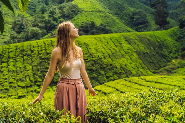 Schöne Junge Touristin Auf Der Teeplantage Natürlich Ausgewählte Frische Teeblätter — Stockfoto
