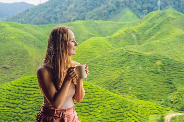 Piękna Młoda Kobieta Picia Zdrowych Zielonej Herbaty Plantacji Herbaty Opieki — Zdjęcie stockowe