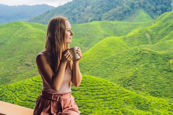 Güzellik genç kadın çay plantasyon karşı sağlıklı yeşil çay içme. Sağlık veya bitkisel tıp kavramı.