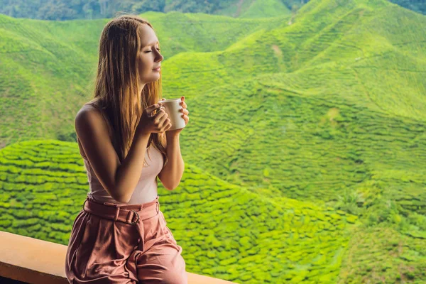 Bellezza Giovane Donna Che Beve Verde Sano Contro Piantagione Concetto — Foto Stock