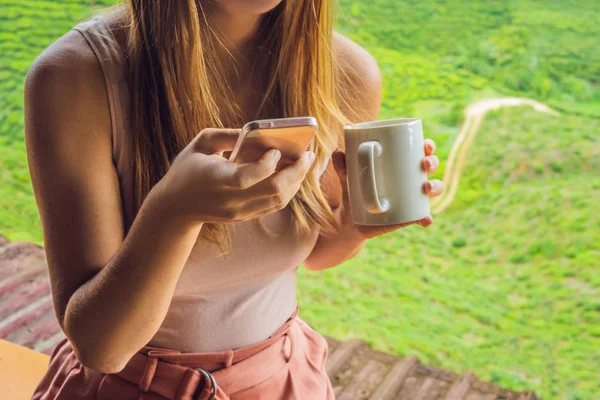 Красавица Молодая Женщина Пьет Здоровый Зеленый Чай Против Чайной Плантации — стоковое фото