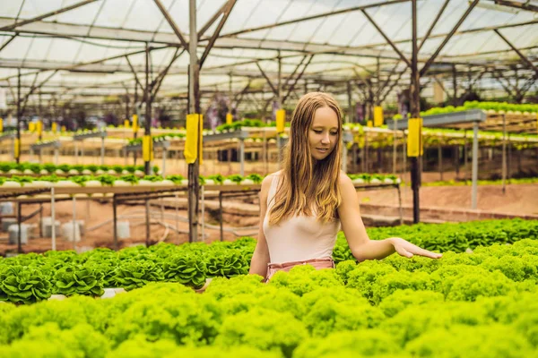 Genç Kadın Çiftçi Hydroponic Salata Çiftlik Bitkilerde Araştırma Tarım Bilim — Stok fotoğraf