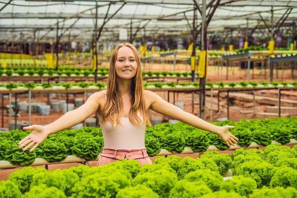 Genç Kadın Çiftçi Hydroponic Salata Çiftlik Bitkilerde Araştırma Tarım Bilim — Stok fotoğraf