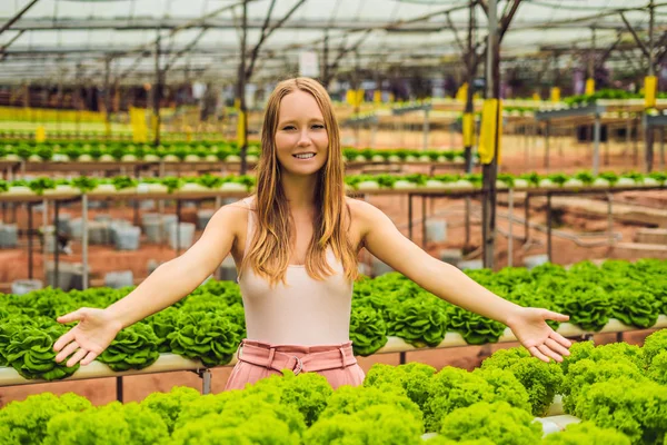 Genç Kadın Çiftçi Hydroponic Salata Çiftlik Bitkilerde Araştırma Tarım Bilim — Stok fotoğraf