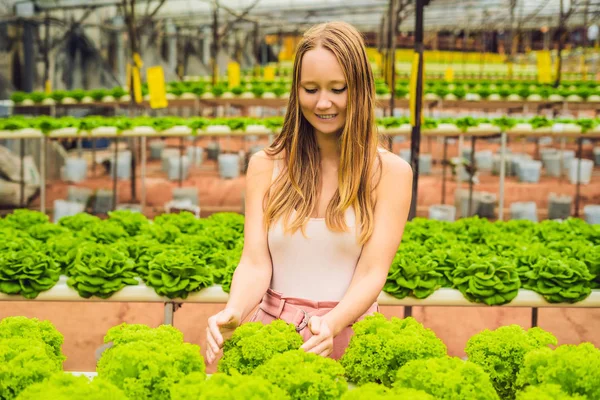 Genç kadın çiftçi hydroponic salata çiftlik bitkilerde araştırma. Tarım ve bilim adamı kavramı.