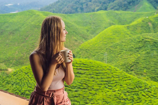 Güzellik genç kadın çay plantasyon karşı sağlıklı yeşil çay içme. Sağlık veya bitkisel tıp kavramı.