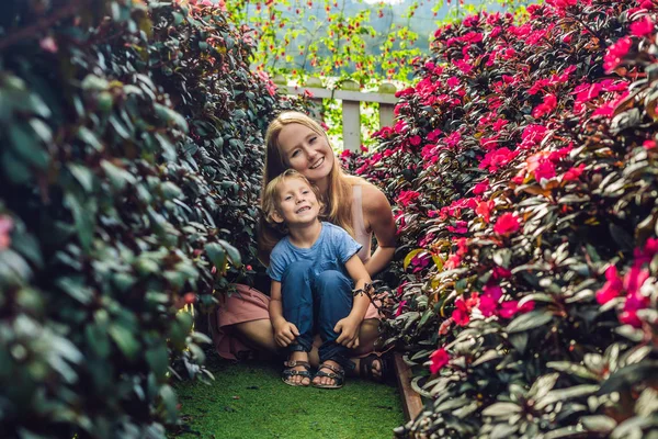 Annem ve çiçekler sera oğlu