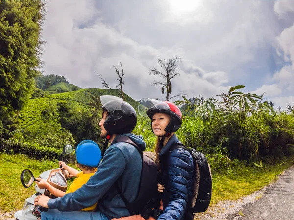 父と息子のマレーシアの紅茶プランテーションの原付けの旅します 子供たちのコンセプトと旅行 — ストック写真