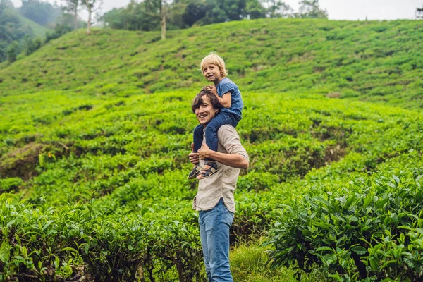 Vater Und Sohn Sind Auf Einer Teeplantage Malaysia Unterwegs Reisen — Stockfoto