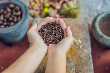 Karanfil baharat eller, karanfil taneleri, bitkisel şifalı otlar, Kuru karanfil taneleri bir tabak içinde.