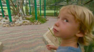 Aile ziyaret kaktüsler, kaktüs Bölgesi'nde bir botanik bahçesi Pennang, Malezya