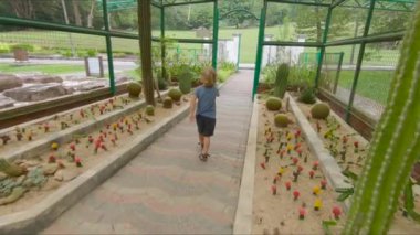 Aile ziyaret kaktüsler, kaktüs Bölgesi'nde bir botanik bahçesi Pennang, Malezya