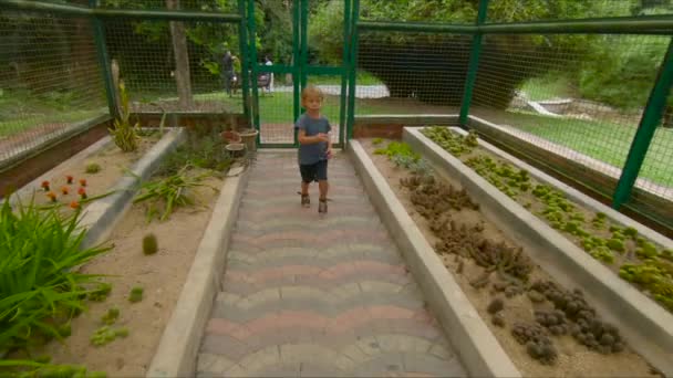 Família Visitando Cactos Zona Cacto Jardim Botânico Pennang Malásia — Vídeo de Stock